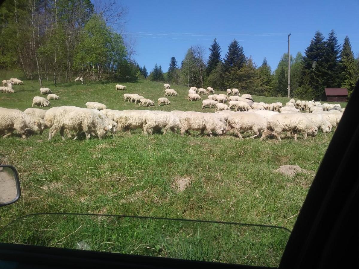 Agroturystyka Boguska Apartamento Zawoja Exterior foto